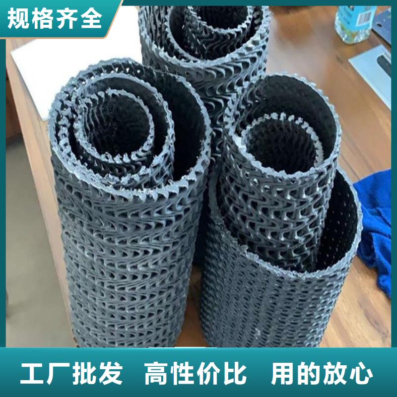 ​【硬式透水管双向土工格栅品质卓越】本地生产厂家