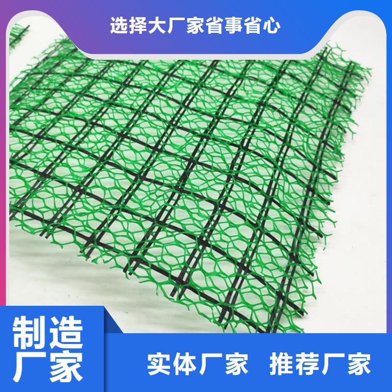 ​三维植被网【玻纤土工格栅】厂家货源同城品牌