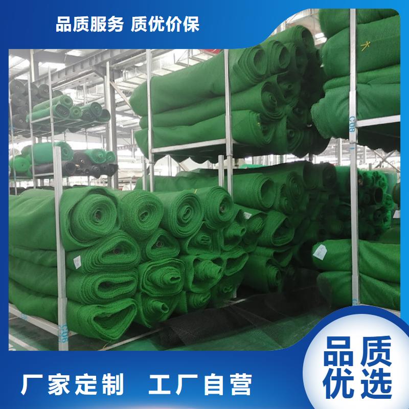 三维植被网土工格栅符合标准同城供应商