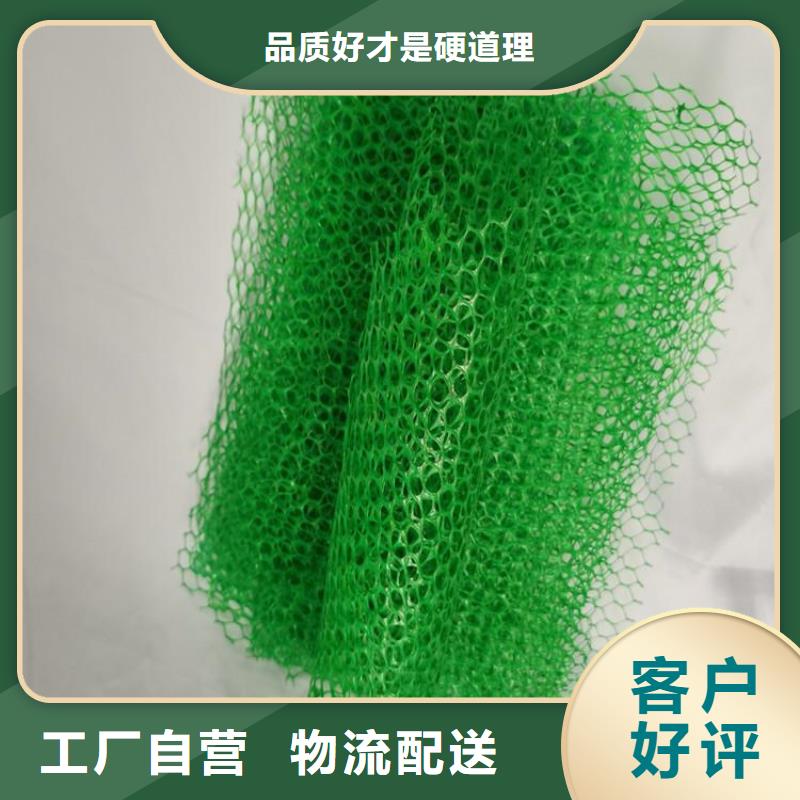 【三维植被网】,土工布精选厂家好货支持定制