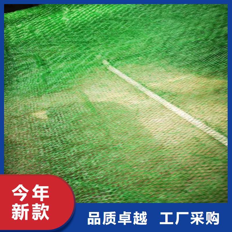 三维植被网双向土工格栅满足您多种采购需求实力大厂家