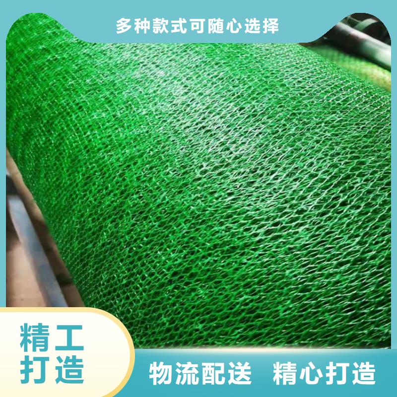 三维植被网,防裂贴细节之处更加用心真正的源头厂家