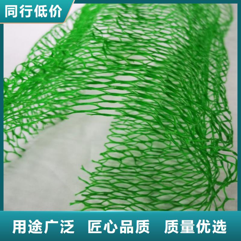 三维植被网,膨润土防水毯定制速度快工期短同城供应商