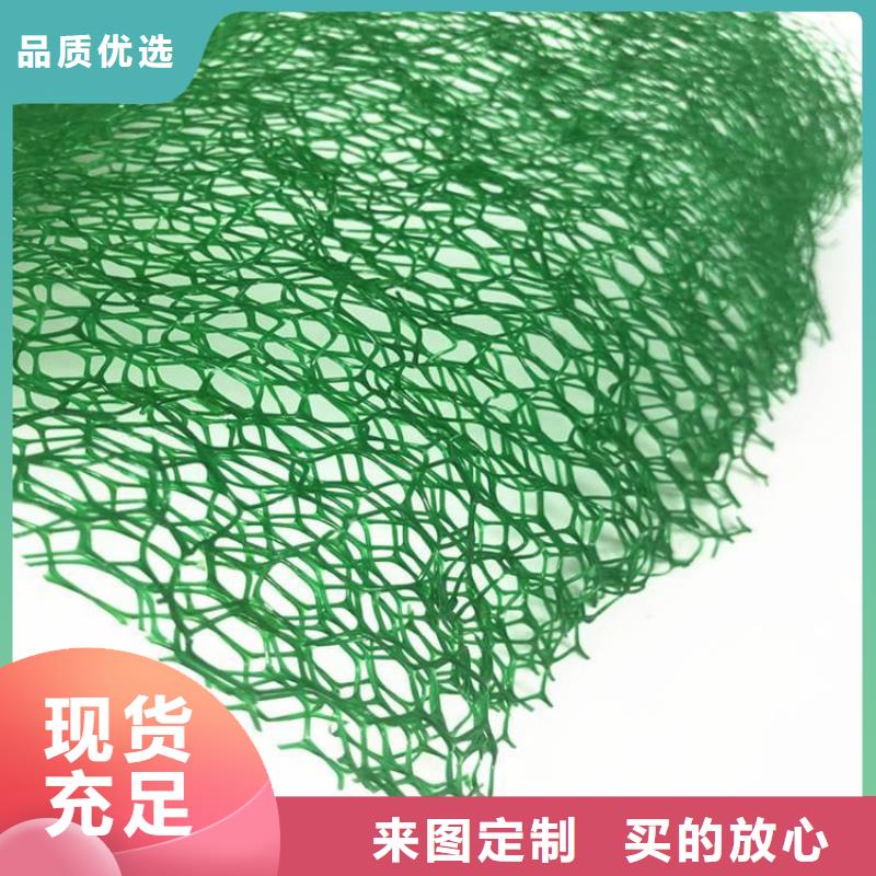 三维植被网涤纶格栅交货准时源头厂家直销