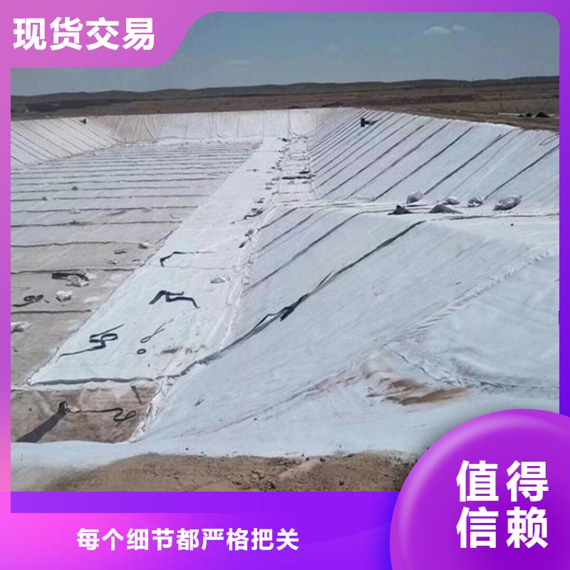 【膨润土防水毯,双向塑料土工格栅实体厂家大量现货】实力厂家