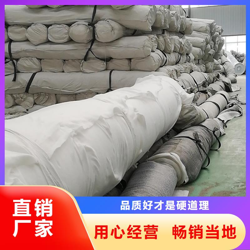 【膨润土防水毯三维植被网专注生产制造多年】同城货源