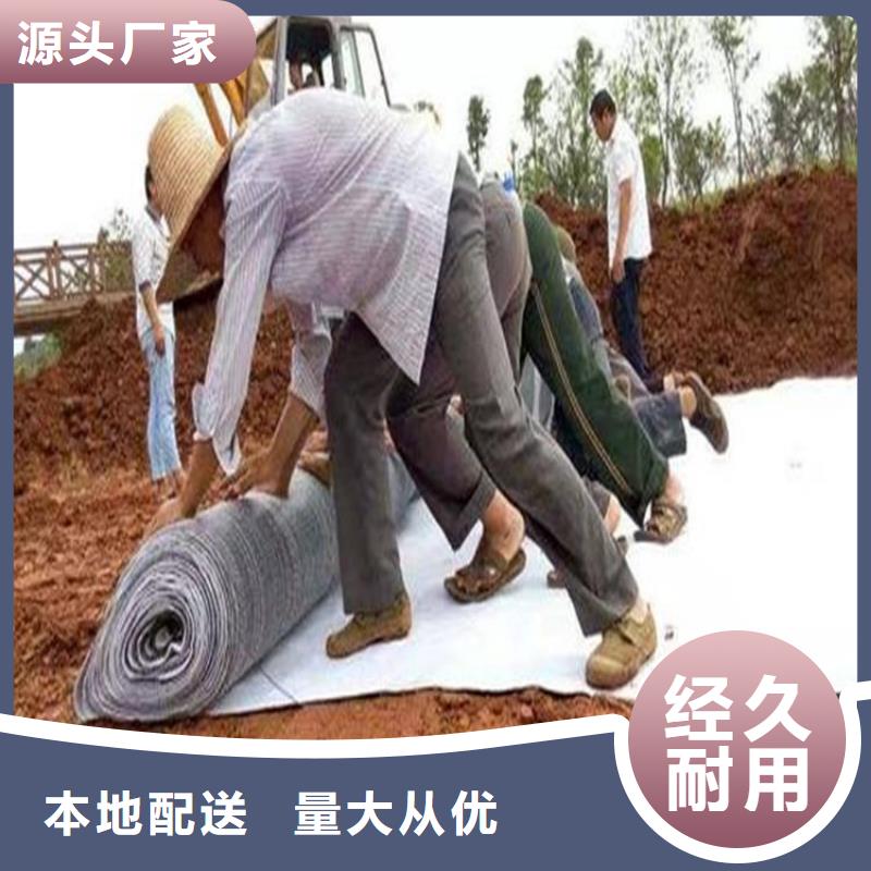 膨润土防水毯-塑料格栅快速报价优质原料