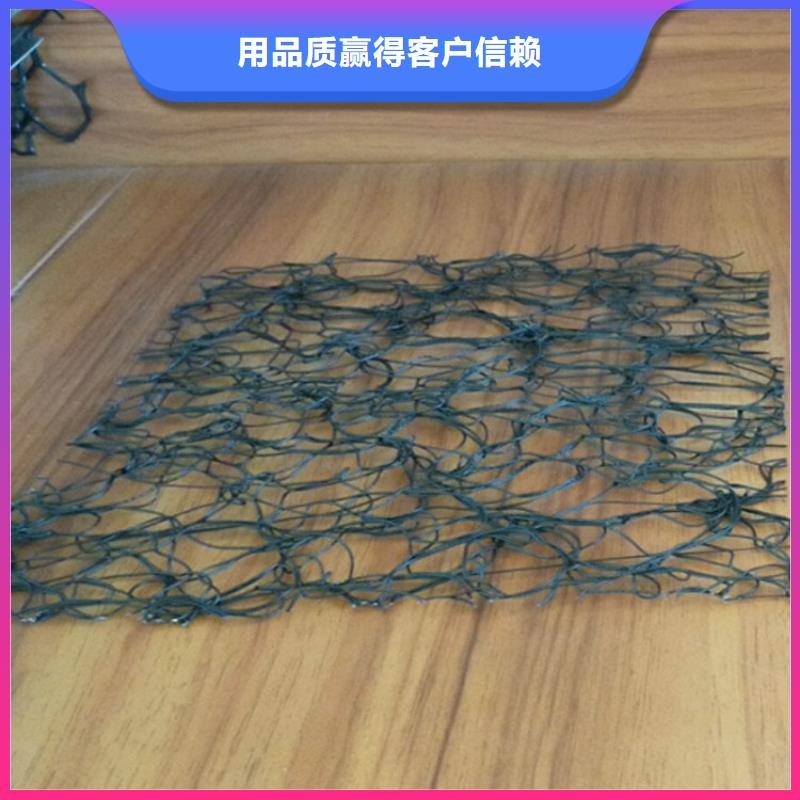 通风降噪丝网-【塑料土工格栅】口碑好实力强用心服务