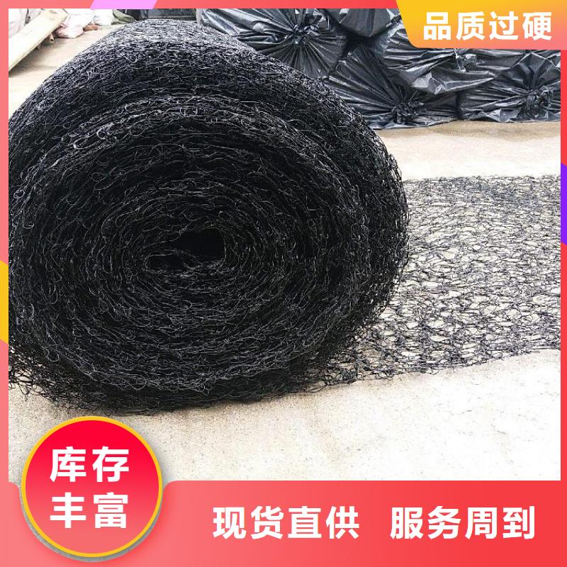 通风降噪丝网双向塑料土工格栅使用方法价格有优势