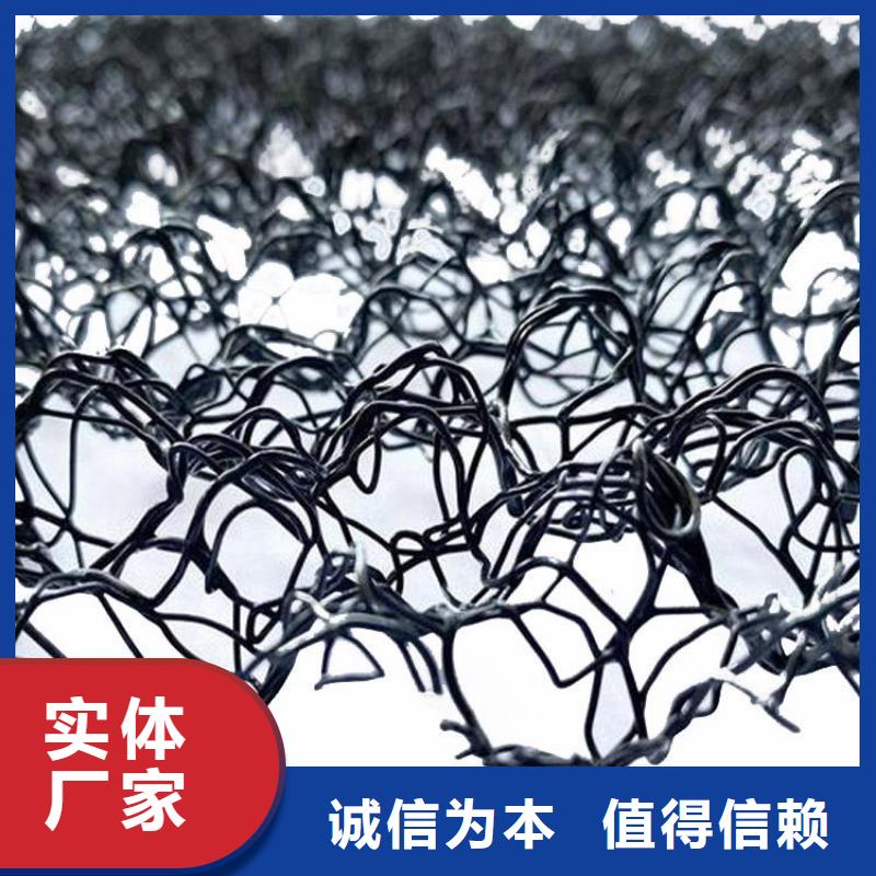 水土保护毯双向土工格栅专业设计本地制造商