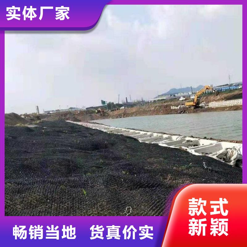 【水土保护毯玻纤土工格栅款式新颖】同城供应商