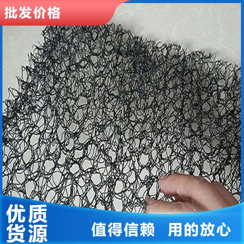 水土保护毯,双向土工格栅的图文介绍本地厂家