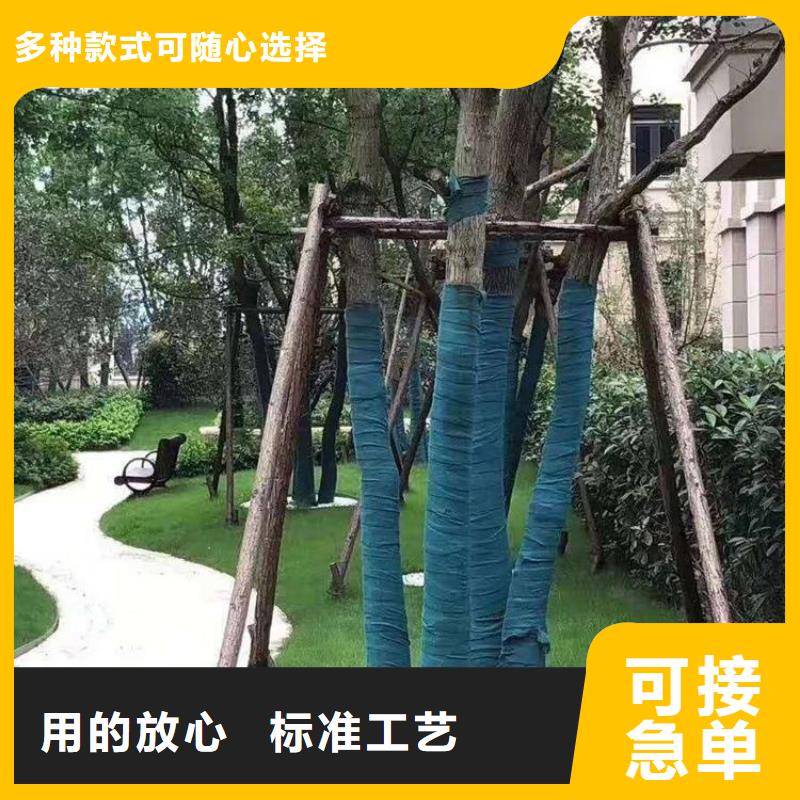 裹树布双向塑料土工格栅货源报价专注质量