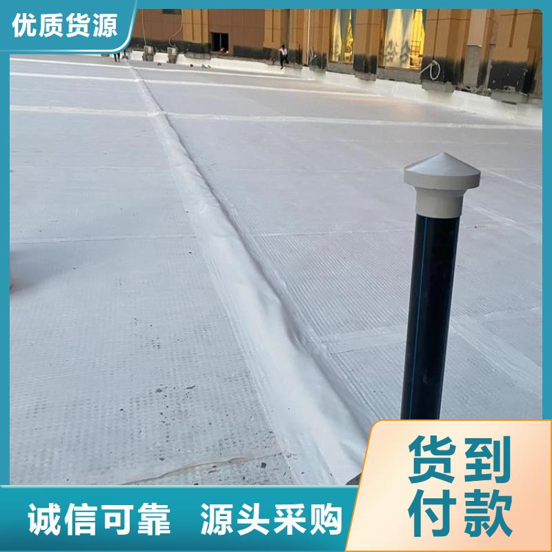 排水板滤水板种类丰富匠心制造