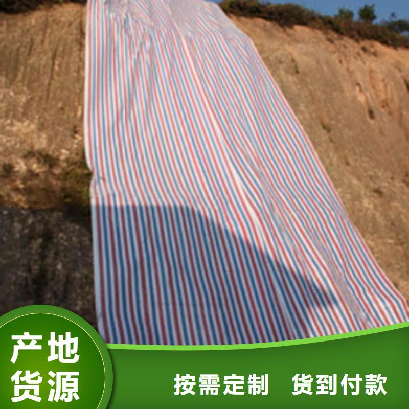 彩条布-【PP篷布】物美价优当地生产商