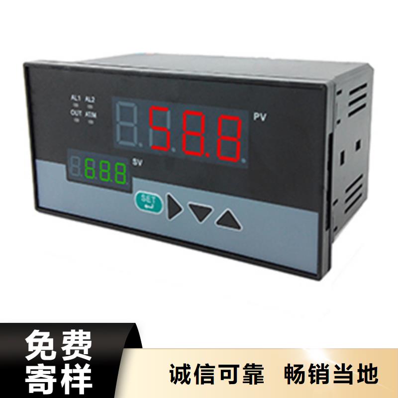常年供应SWP-ASR106-2-0/JB2-大型厂家当地公司