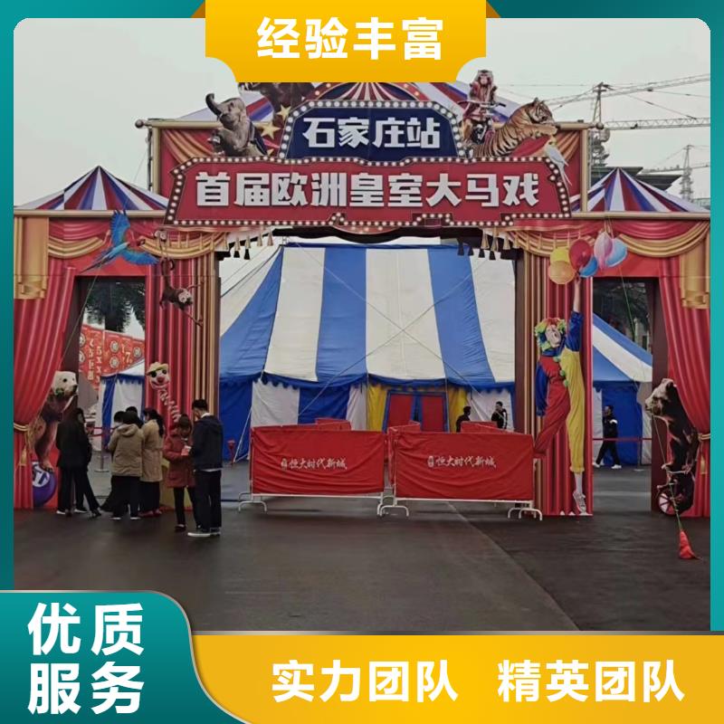 马戏团/羊驼租赁美人鱼表演遵守合同当地厂家