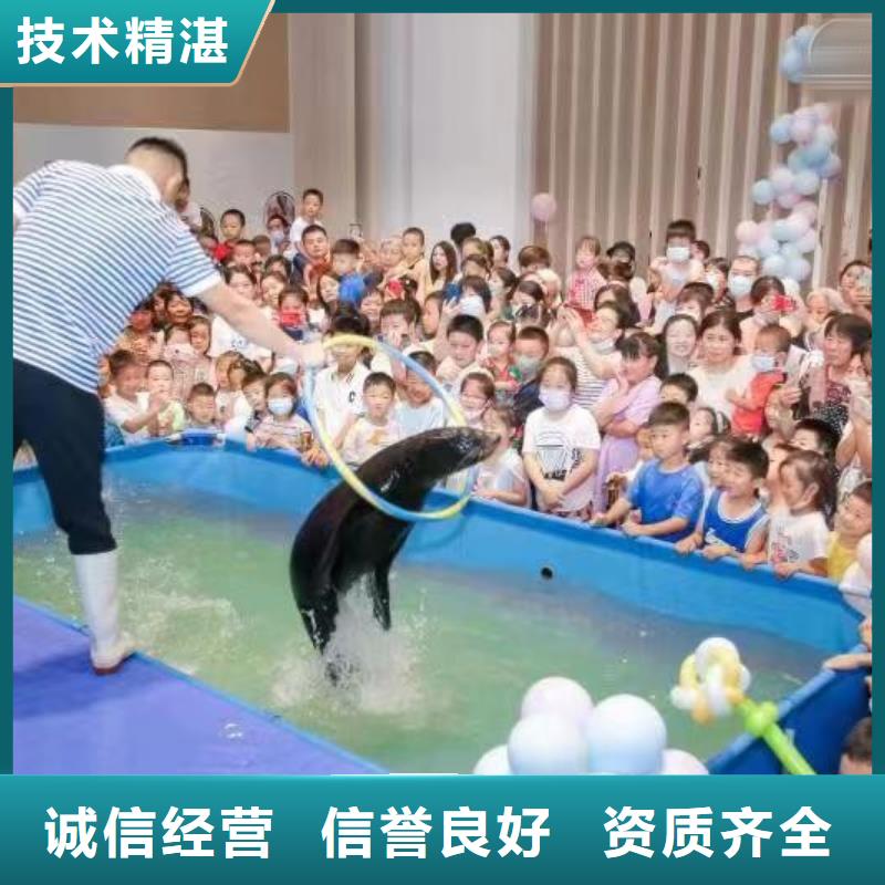 【海洋主题动物表演海狮演出正规公司】本地公司