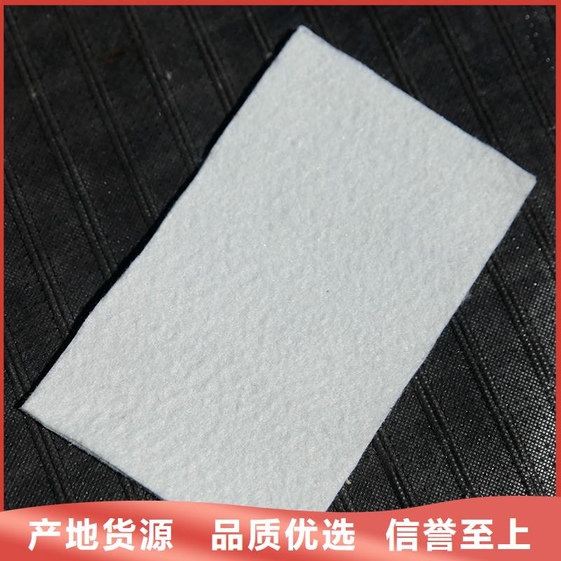土工布聚丙烯长丝土工布打造好品质自营品质有保障