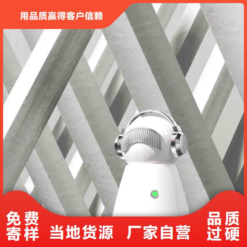 小白孕妇空气守护机【车载空气净化器】卓越品质保障当地供应商