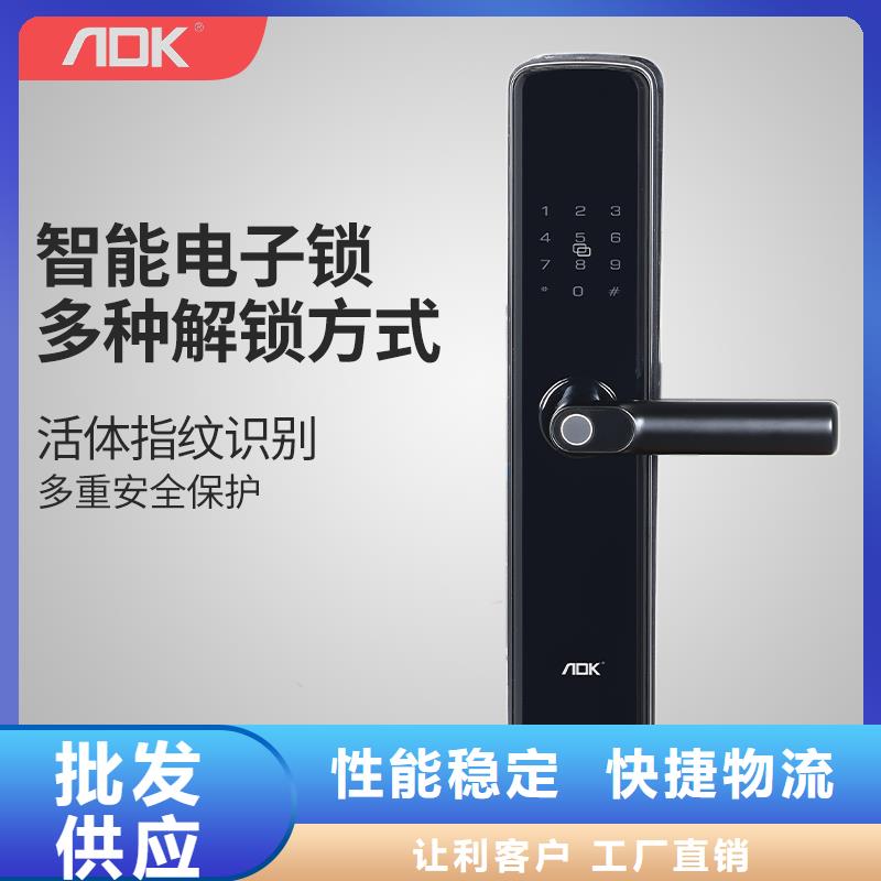 智能锁人脸识别智能锁销售48小时发货同城供应商