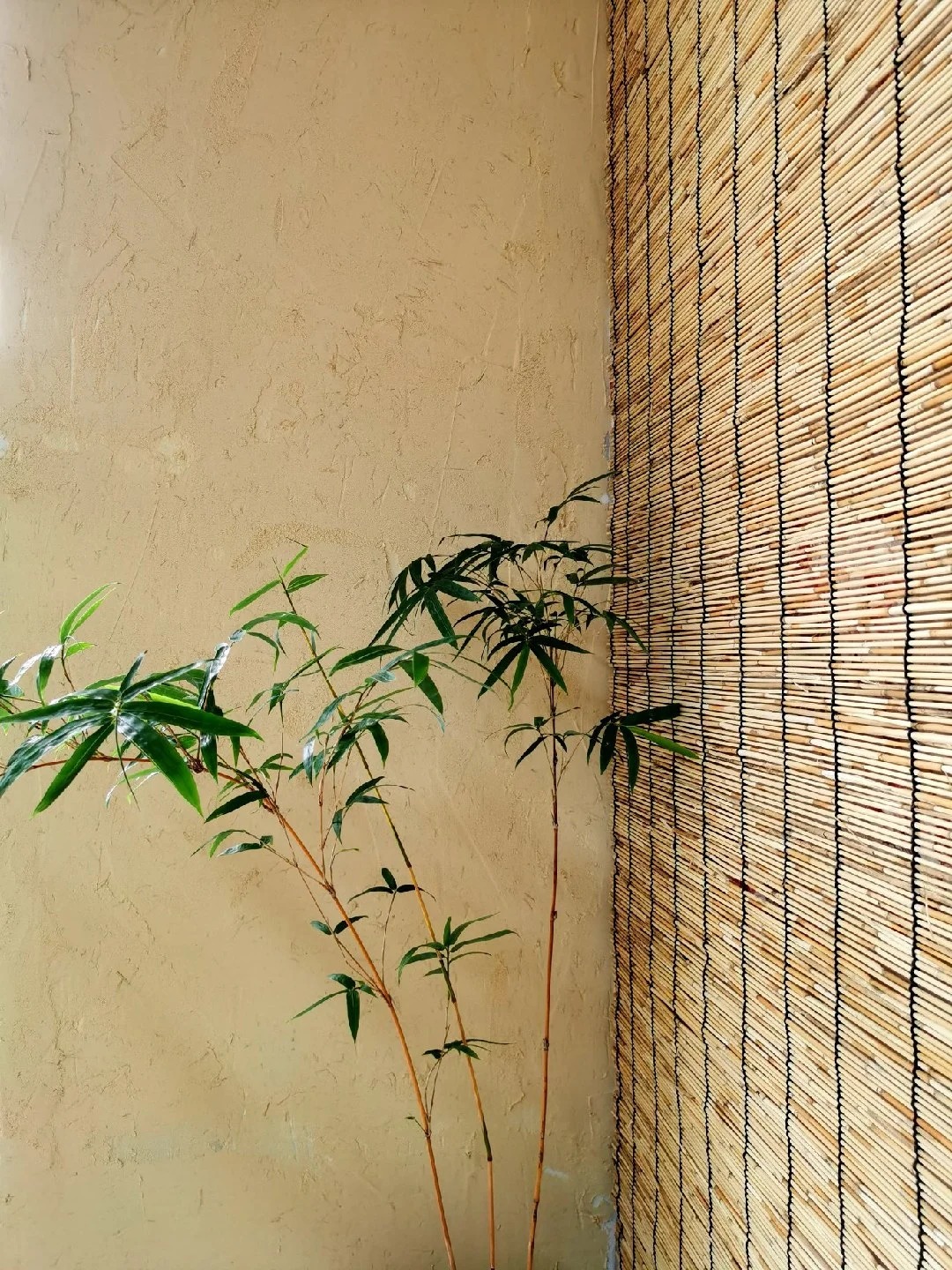 仿泥巴墙稻草漆源头厂家，批发价，可施工用心服务