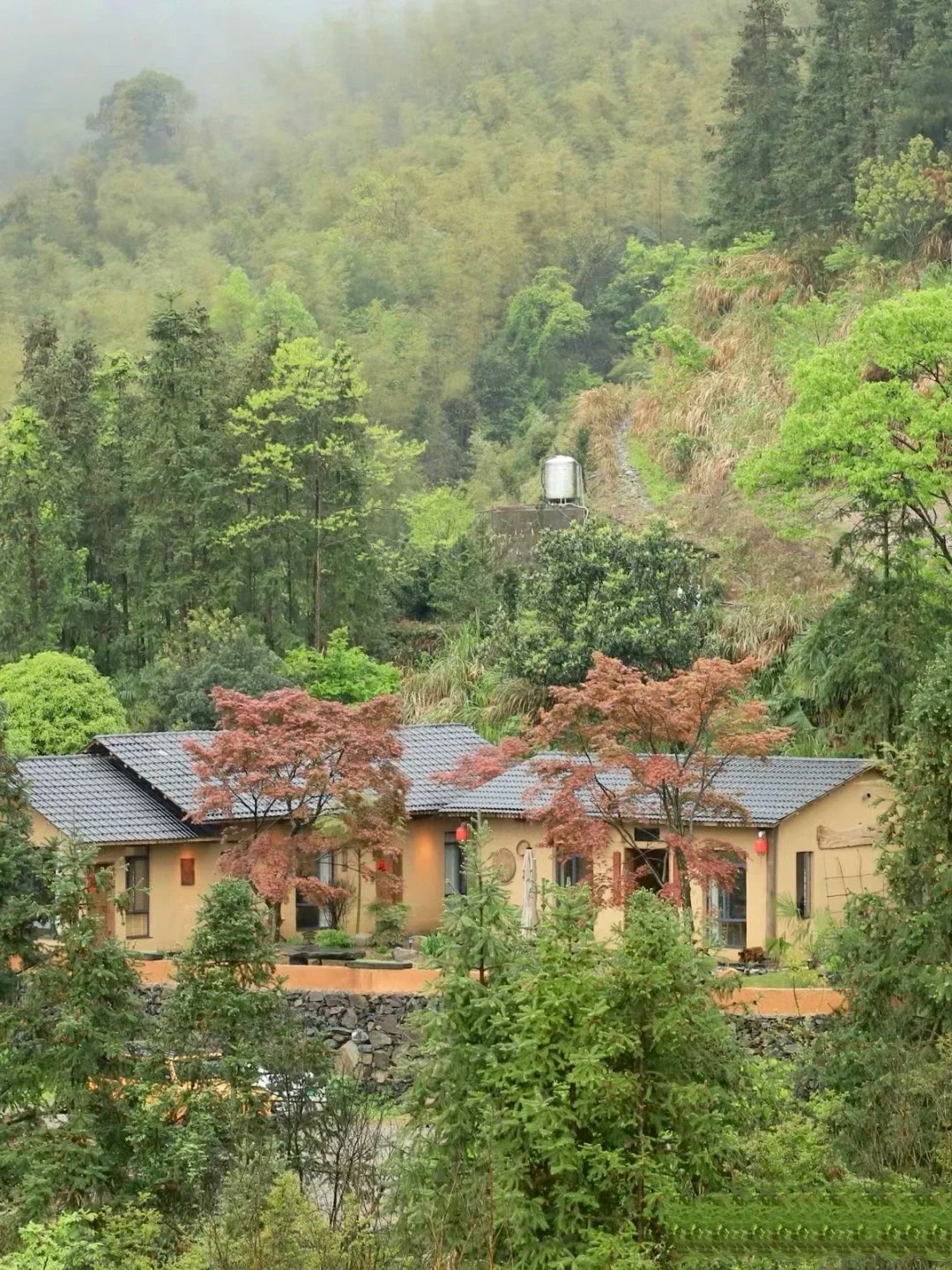 稻秸秆漆源头厂家，拿货批发价