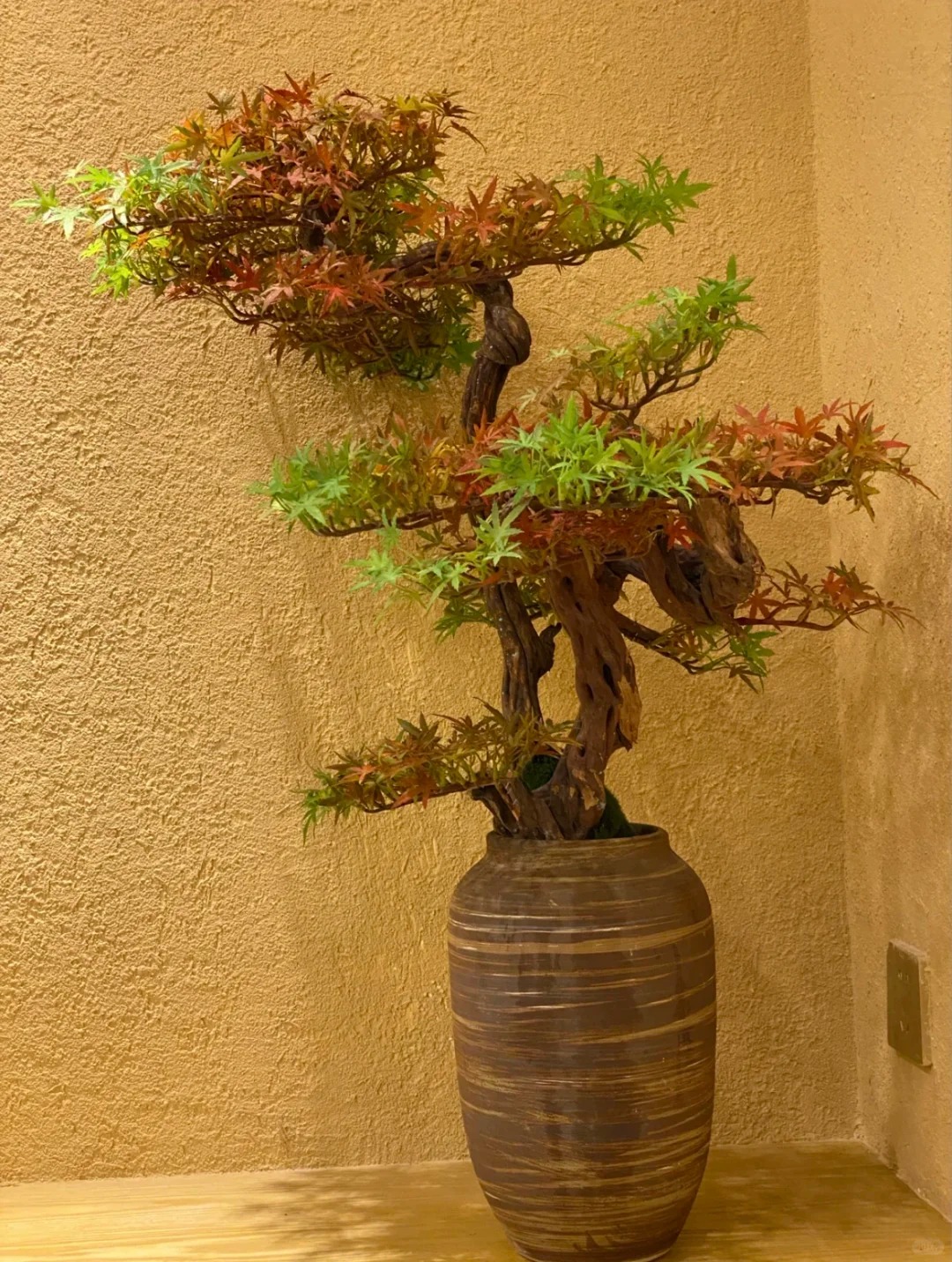 内墙稻草漆图片