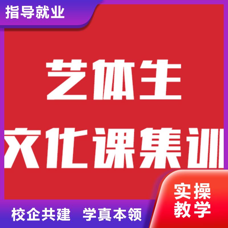 艺考文化课集训班价格雄厚的师资理论+实操