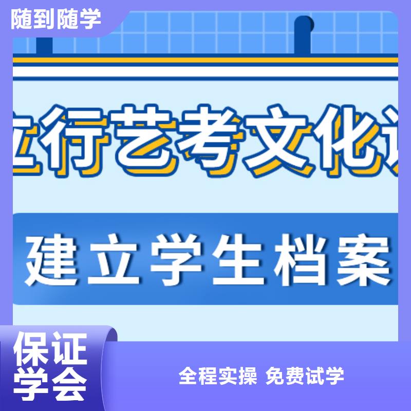 艺术生文化课艺考文化课集训班就业本地厂家