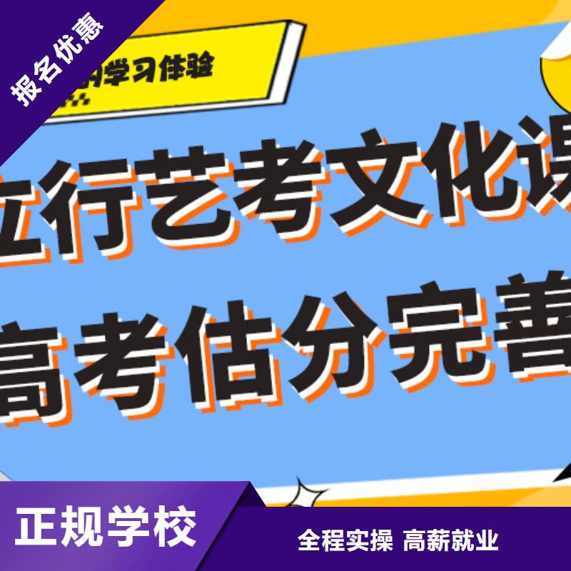 艺术生文化课艺考一对一教学老师专业正规培训