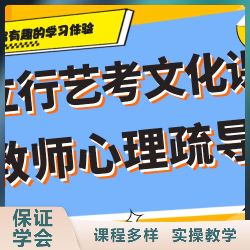 艺考生文化课培训学校哪家信誉好？本地厂家