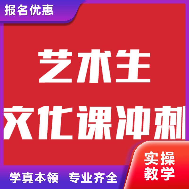 艺术生文化课补习班排行能不能行？实操教学