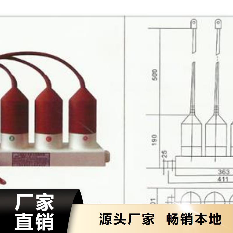 计数器绝缘子为品质而生产本地厂家