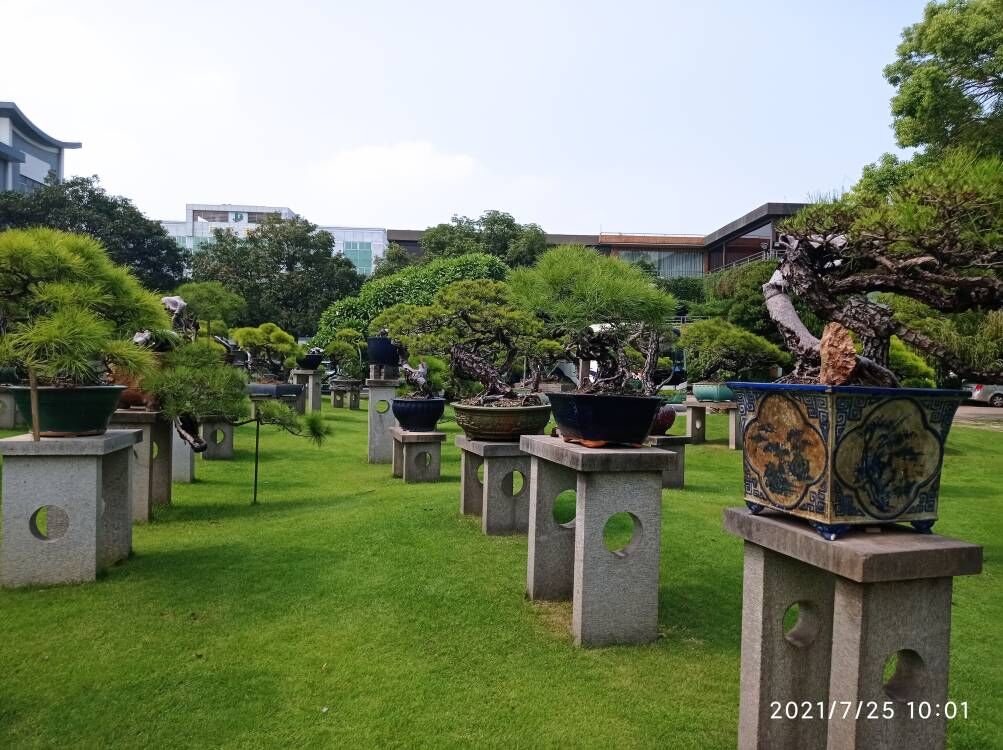 预拌流态固化土淤泥原位土壤固化厂家价格