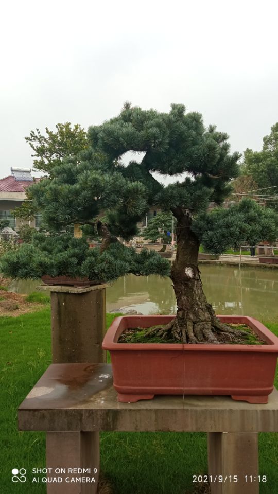 平整土地土壤固化土壤固化剂欢迎订购本地生产厂家