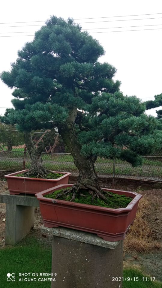 重金属土壤修复
软土固化剂承诺守信