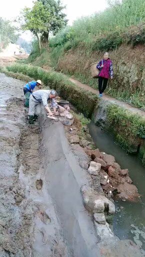 淤泥原位土壤固化污泥改性剂图片