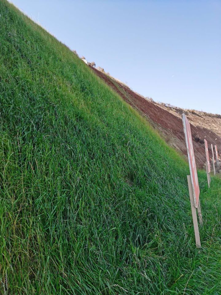 寺庙琉璃瓦坡屋面防渗修软土固化剂种植基地