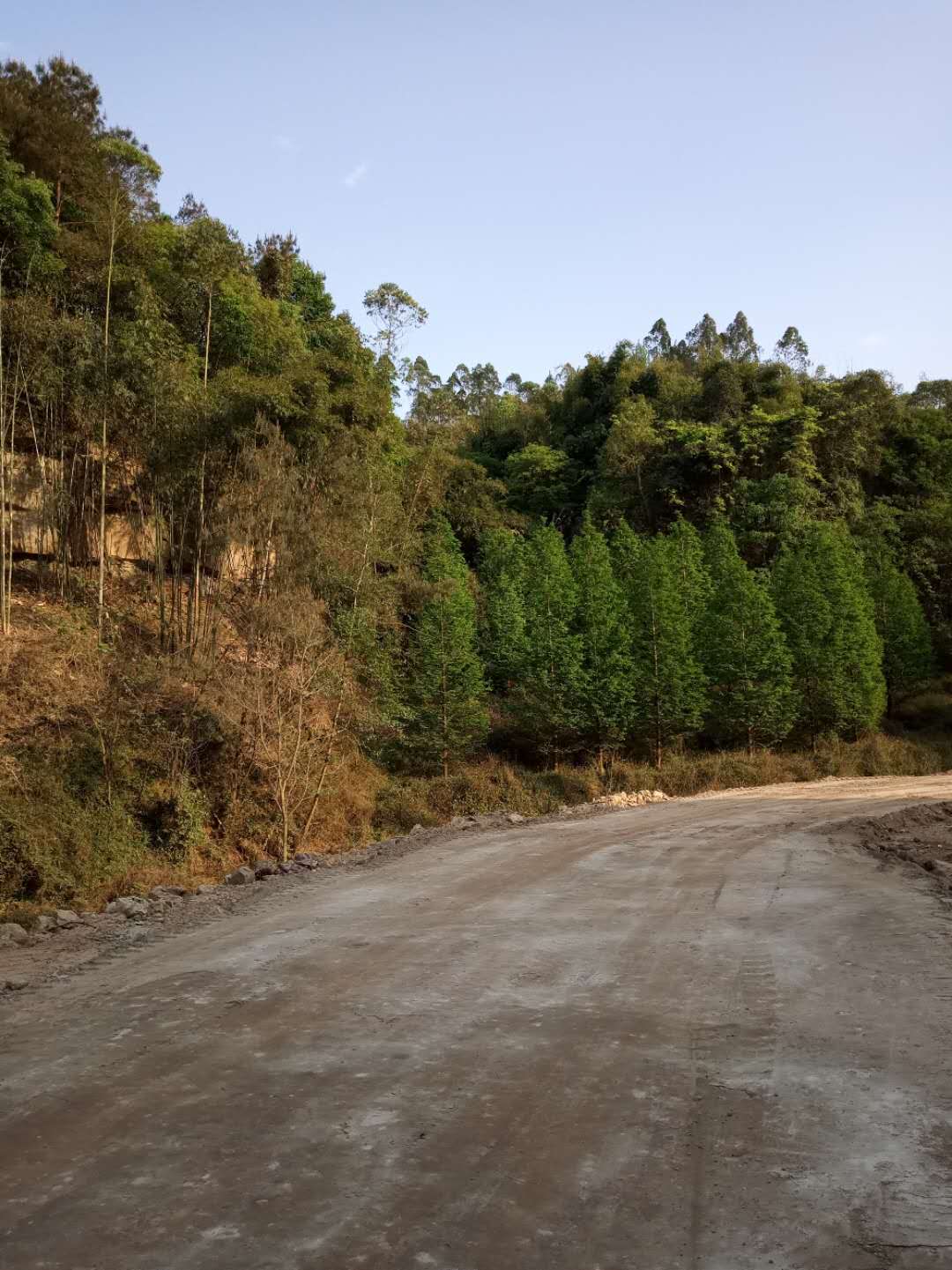 氟硅水泥防静电自流平淤泥固化剂正规厂家